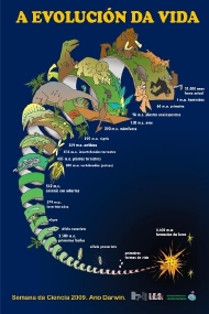 Evolución da vida